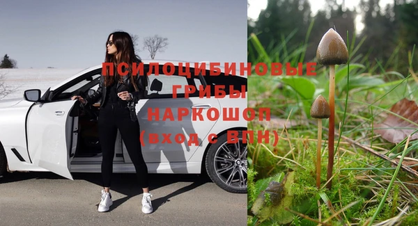 ГАЛЛЮЦИНОГЕННЫЕ ГРИБЫ Алзамай