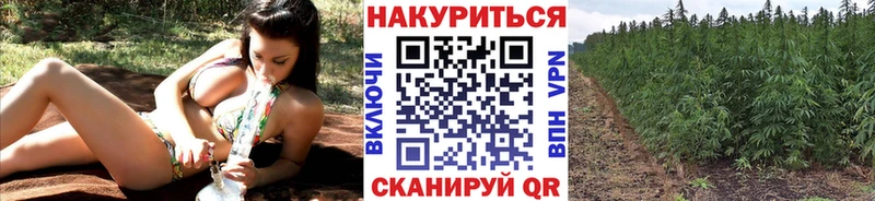 Марихуана семена  MEGA ССЫЛКА  Кыштым 